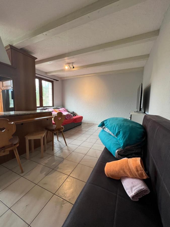 Tiny Apartment With Amazing View, Garden & Terras Schattdorf Экстерьер фото